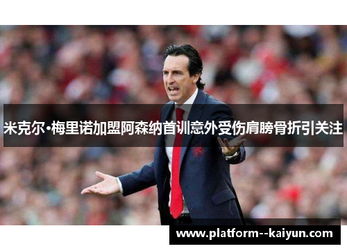 米克尔·梅里诺加盟阿森纳首训意外受伤肩膀骨折引关注 米克尔·梅里诺加盟阿森纳首训意外受伤肩膀骨折引关注